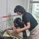 만호초등학교 이미지