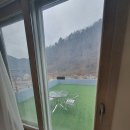 데일리랜드 이미지