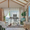 케어덴 동물치과&내과병원 이미지