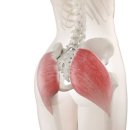 맨몸PT밴드운동 이미지