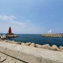 태풍카랜드 이미지