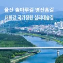 울산 솔마루길 남산 영산홍과 태화강 십리대숲길 트레킹 이미지