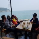 동찬한우 Daum카페