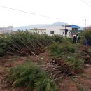 상녹수농장 이미지