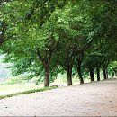 도청마을 이미지