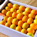 광택농장 이미지