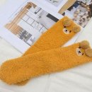 양말 - 성남시 수정구 수정북로39번길 1 | 양말