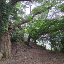 동산 새마을작은도서관 이미지