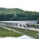 지곡낚시터 이미지