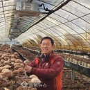 선우농장3 이미지