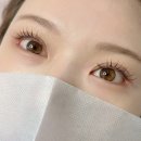헤이모모 | 속눈썹 펌 2주 후기! 헤이모모, 역시 믿고 맡겨요!