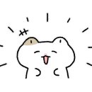 채원중식당(양꼬치) 네이버블로그