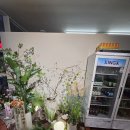 41190-01-07-151 | 대전 도룡동 눈꽃샤브 도룡직영점, 무한리필 야채부터 크림샤브·우동·리조또까지 완벽한 코스 맛집 후기!