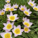 원종농장 이미지