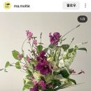 노이플라워 네이버블로그