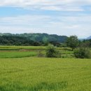 사문안골 이미지