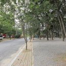 춘장대나드리캠핑장 이미지