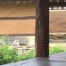 쌍암고택 이미지