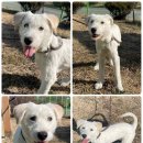 육통2리 이미지