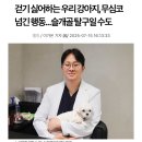 강북 24시 N 동물의료센터 | 우리 강아지, 무심코 넘긴 행동...슬개골탈구일수도 , 길음미아동물병원 24시 N동물의료센터 강북점