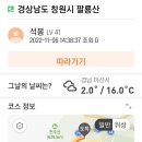 팔용동서식품 이미지