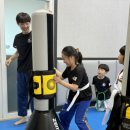 K용인대 태권도장 이미지