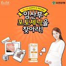 디케이라이프