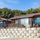 정감이간다 이미지