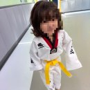 경희대 아이스타 태권도장 이미지