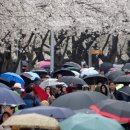 촉촉이네 이미지