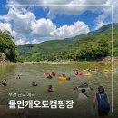 서생파크펜션 | 부산 근교 깊은 계곡 평상 대여 취사 가능한 경남 밀양 물안개오토캠핑장