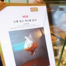 티엠랩 이미지
