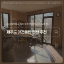 제이큐브 펜션 | 제주도 애견동반펜션 추천 | 조용하고 깔끔한 제이큐브펜션 숙박후기