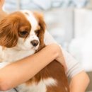 Dr.j 동물병원 이미지