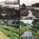 수원-1976 이미지