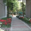 무궁화건영 이미지