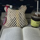 경인렌트카 | [어떤여행] 임산부 통영, 거제 2박3일 여행(1)