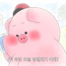 스테이담 이미지