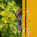 수원-0609 이미지