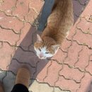 오목천역 3번출구 이미지