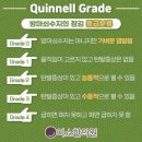 화성수지 이미지