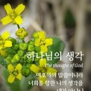 마라나타 이미지
