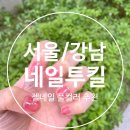 네일투킬