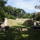 방학동 은행나무 이미지