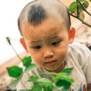 호기심 과학 이미지