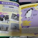 애니멀 동물병원 이미지