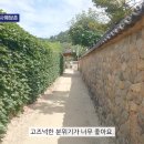 경남여행｜ 아름다운 한국을 느낄 수 있는 산청 남사예담촌과 동의보감촌! 이미지