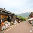 최참판댁 Daum카페