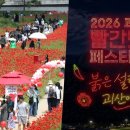 낮엔 3.3㎞ 빨간 꽃길, 밤엔 1400 드론쇼 즐기는 5월 꽃축제, 안 가면 손해 이미지