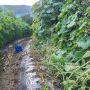 김용주농장 이미지